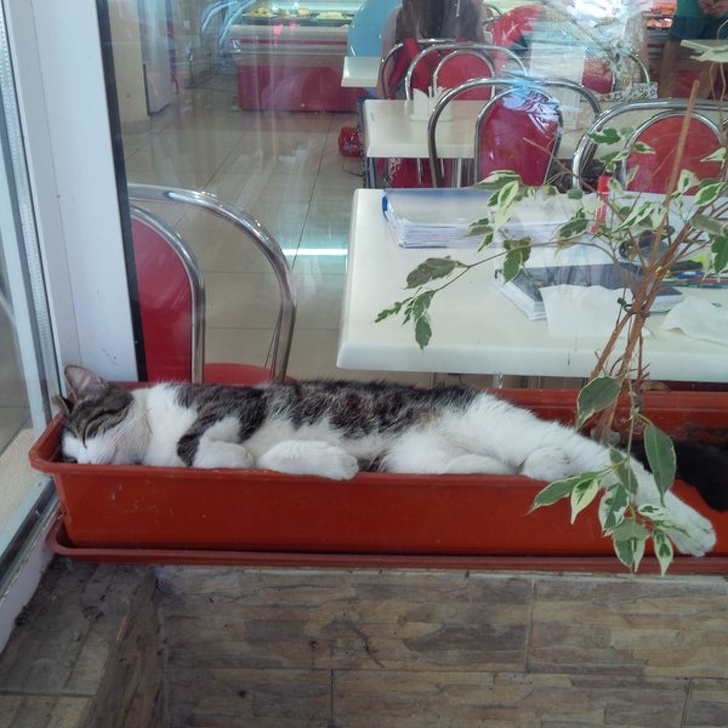 Illustration de l'article : Ces 13 personnes qui ne craignent pas le regard des autres