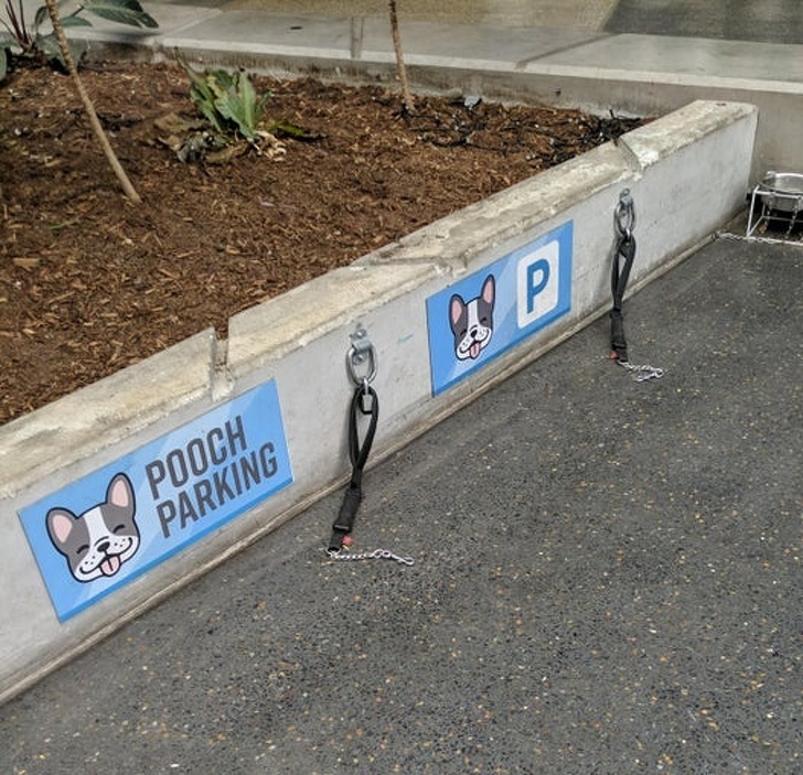 Illustration de l'article : Ces 25 idées qui facilitent la vie quotidienne