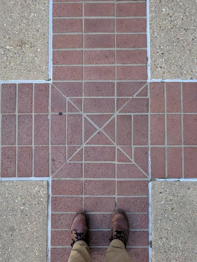 Illustration de l'article : Ces 23 photos immortalisent des scènes inconfortables