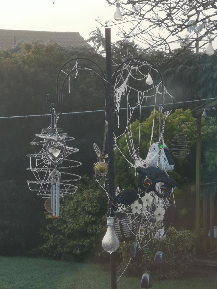 Illustration de l'article : Ces 19 trouvailles que certaines personnes ont faites