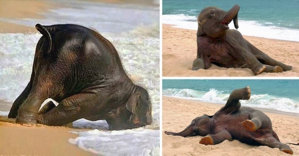 Illustration de l'article : 25 photos que vous aurez du mal &agrave; oublier