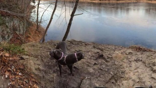 Illustration de l'article : 21 photos rat&eacute;es prises avec le mode panoramique de vos smartphones