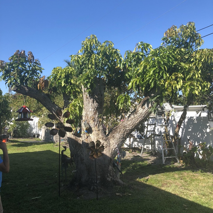 Illustration de l'article : Ces 19 grands-parents qui ont plus d'un tour dans leur sac