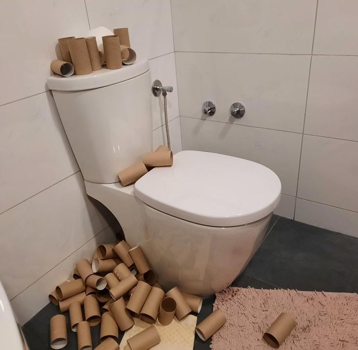 Illustration de l'article : Ces 20 photos illustrant des manières de faire qui ne sont pas habituelles