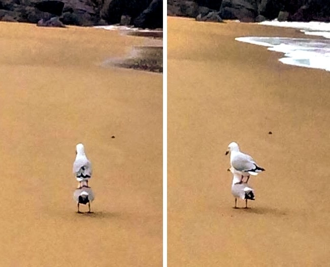 Illustration de l'article : Sélection des 23 photos insolites de la semaine