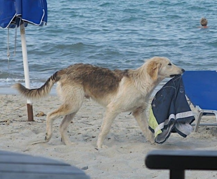 Illustration de l'article : Ces 24 journées que ces personnes voudraient recommencer