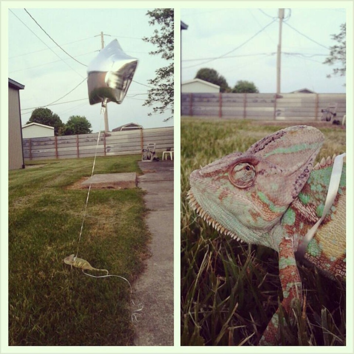 Illustration de l'article : Ces 18 personnes qui font preuve d'imagination au quotidien