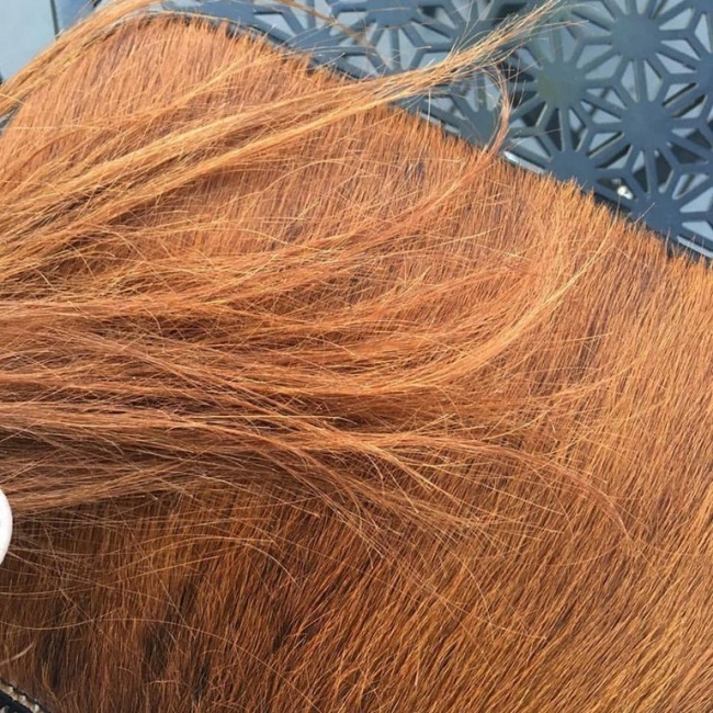 Illustration de l'article : 29 personnes qui ont vécu un moment très gênant