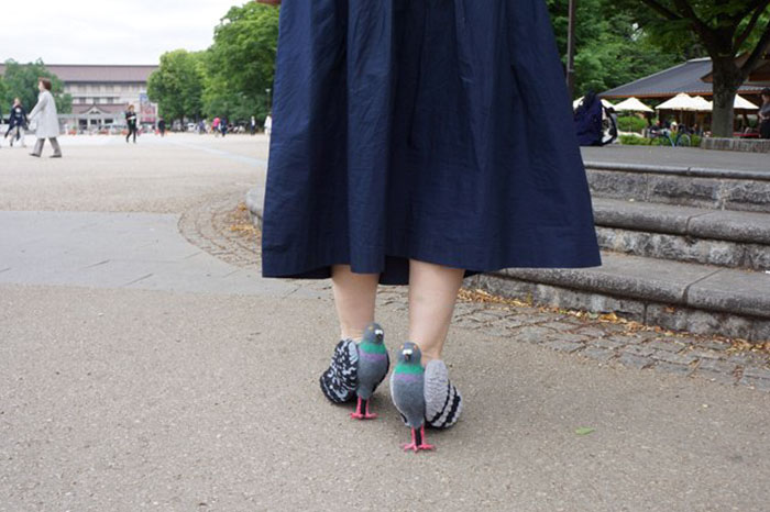 Illustration de l'article : Au Japon, une femme effraie les passants avec des chaussures en pigeons