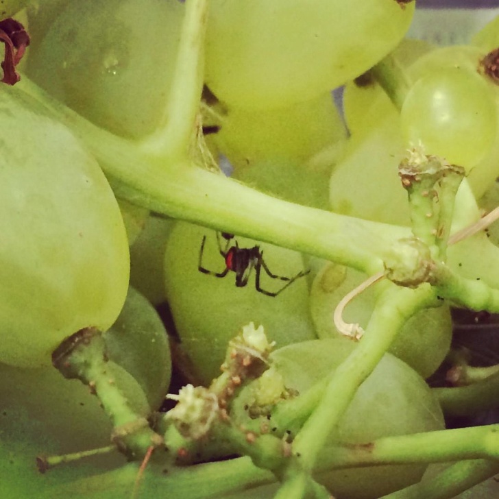 Illustration de l'article : Ces 15 échecs en passe de rentrer dans les livres d'histoire