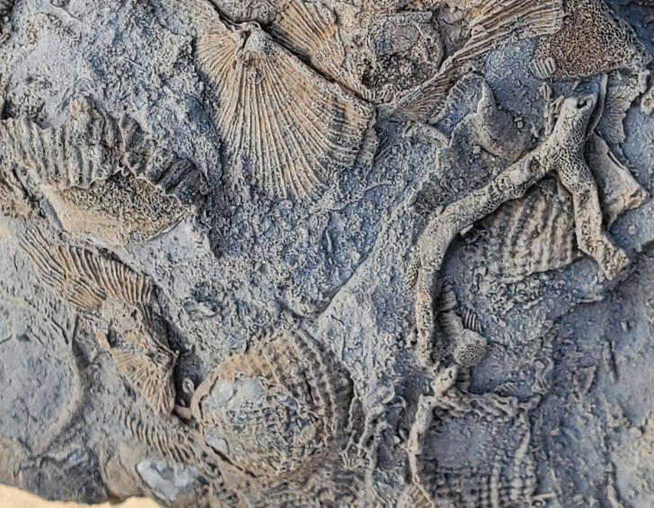 Illustration de l'article : Ces 20 personnes qui ont fait de bonnes trouvailles