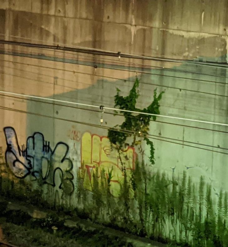 Illustration de l'article : Ces 20 photos qui illustrent les originalités de la nature