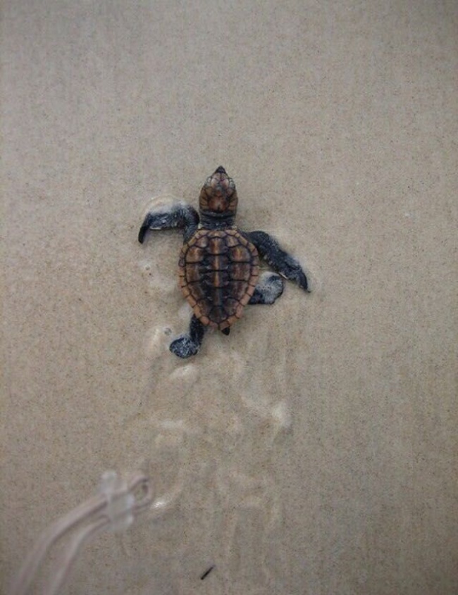 Illustration de l'article : 17 images qui vont titiller vos émotions