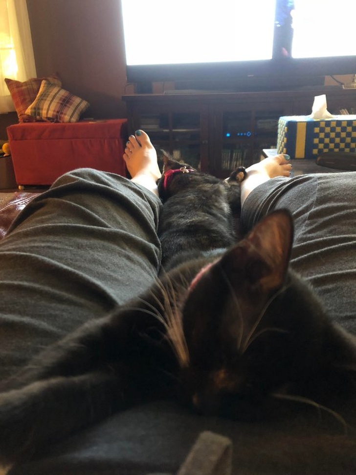 Illustration de l'article : Ces 15 situations capturées au bon moment