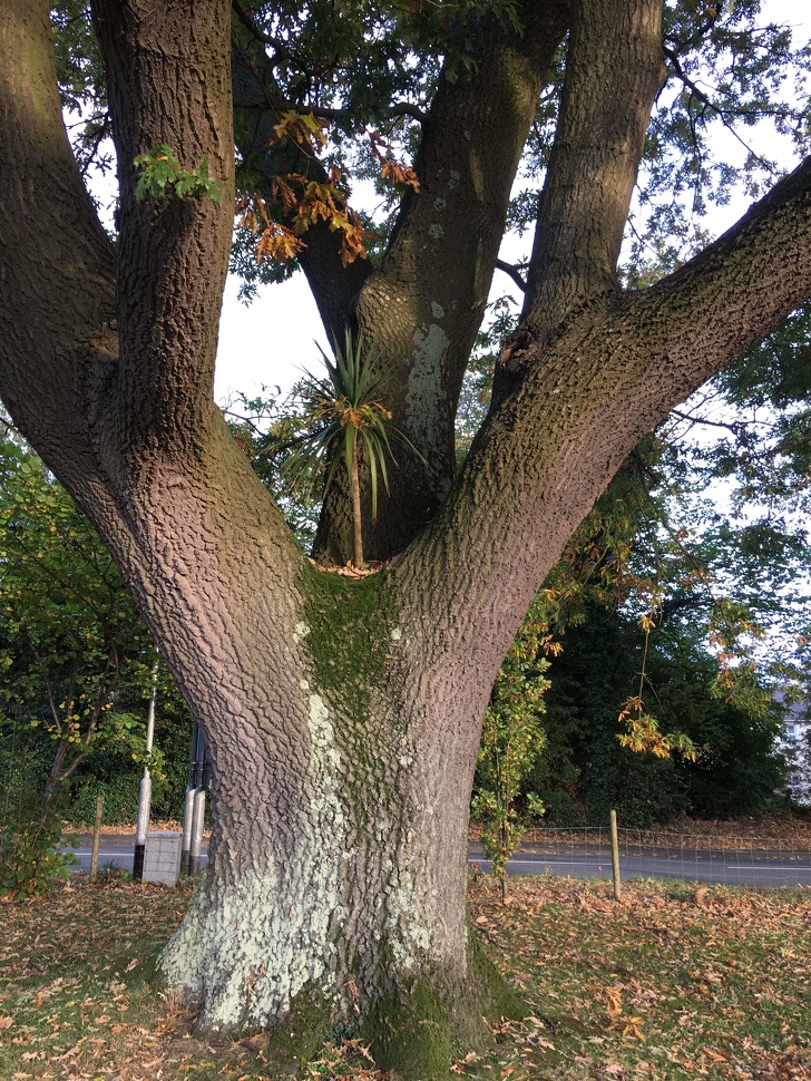 Illustration de l'article : Ces 22 situations qui ne se produisent pas à tous les coins de rue