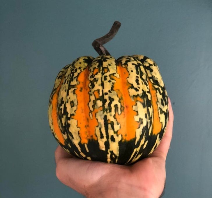 Illustration de l'article : Ces 19 photos qui illustrent des oeuvres d'art impr&eacute;vues