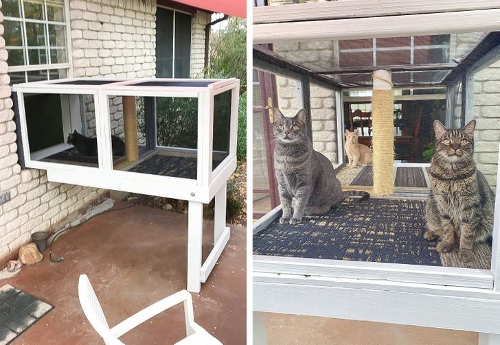 Illustration de l'article : Ces 14 personnes qui sont douées de leurs mains