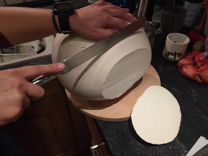 Illustration de l'article : Ces 20 trouvailles de la nature et de l'ing&eacute;nierie