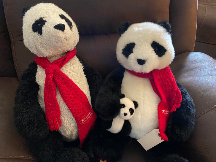 Illustration de l'article : Ces 20 photos qui comparent les objets usés à leur version neuve