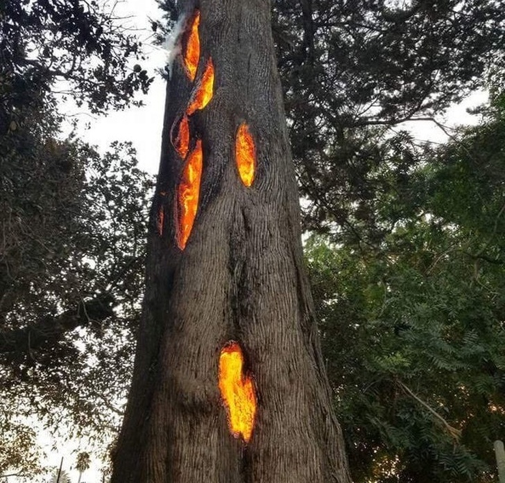 Illustration de l'article : Ces 22 photos saisies au bon moment