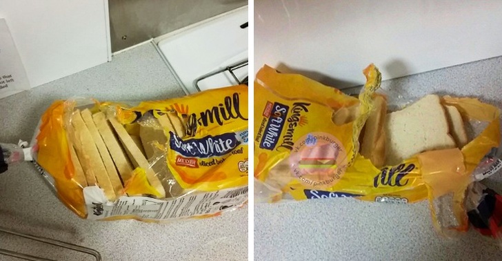 Illustration de l'article : Ces 24 photos de situations qui donnent la nausée