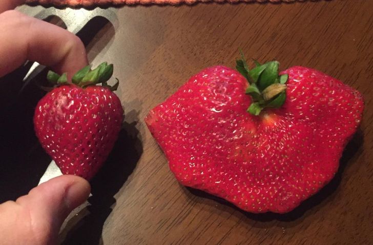 Illustration de l'article : Ces 14 photos comparatives de choses originales