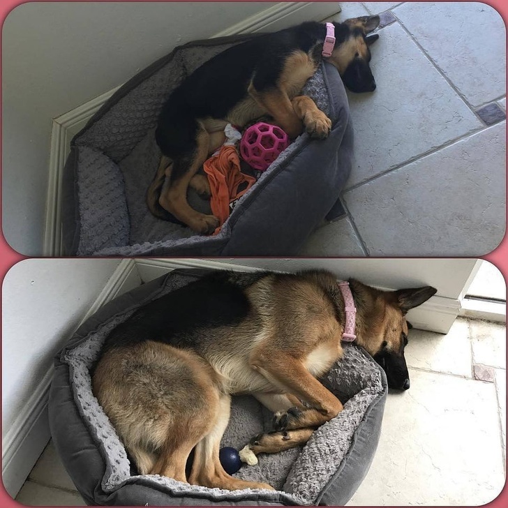 Illustration de l'article : Ces 20 photos avant/après qui montrent que certaines choses ne changent jamais