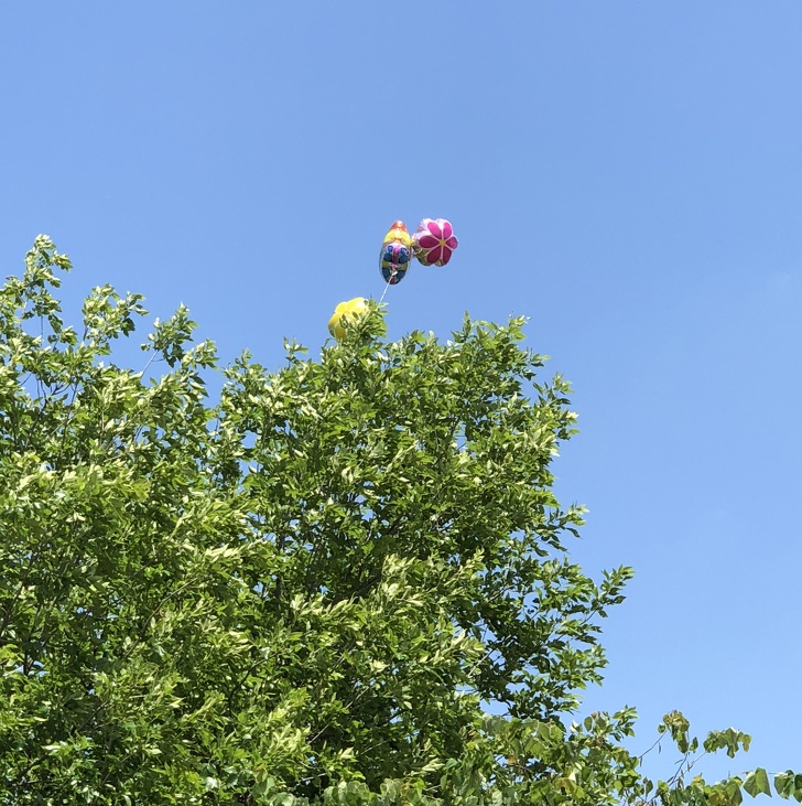 Illustration de l'article : Ces 19 personnes à qui il est arrivé un coup de malchance