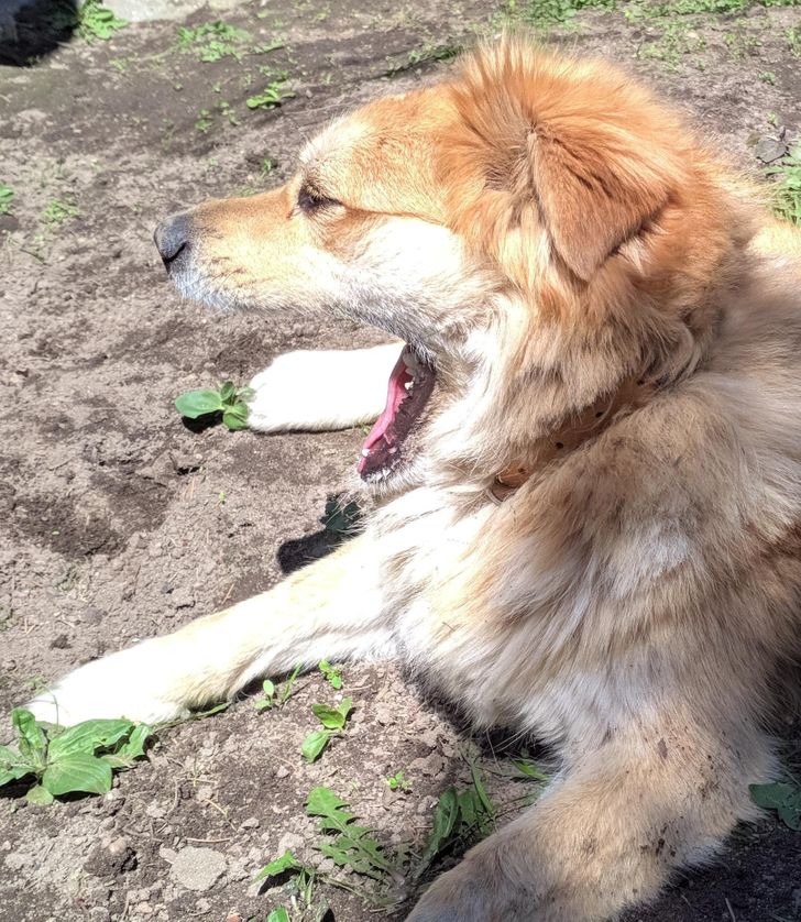 Illustration de l'article : Ces 20 photos qui demandent un second coup d'oeil