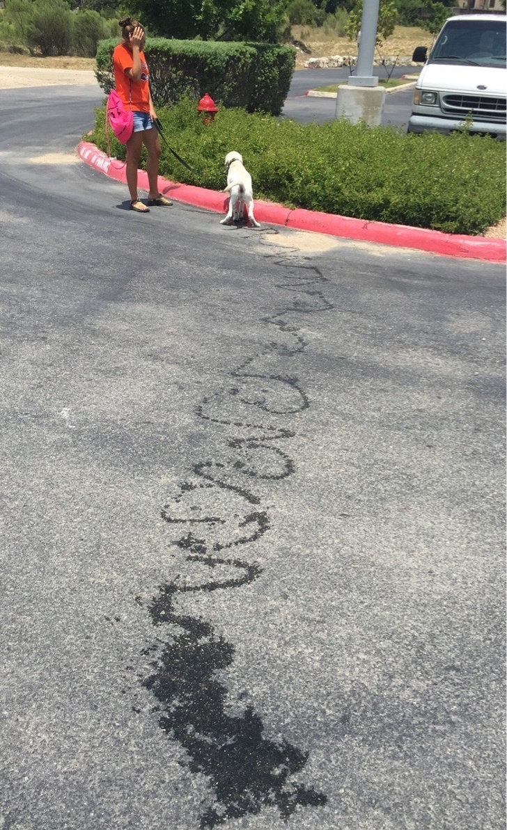 Illustration de l'article : Ces 15 personnes se sont trouvées au mauvais endroit au mauvais moment