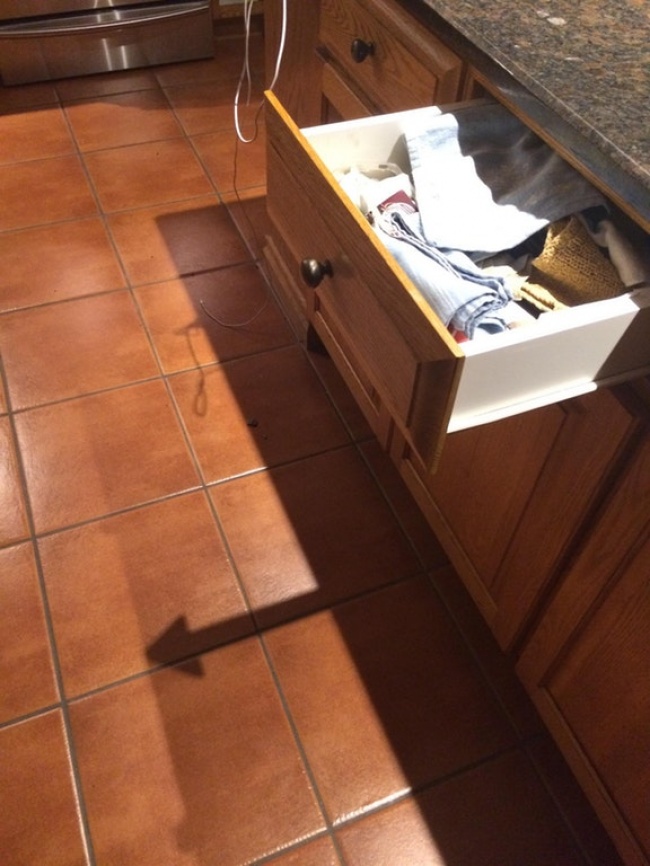 Illustration de l'article : 28 moments qui sortent de l'ordinaire capturés dans la vie quotidienne