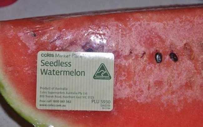 Illustration de l'article : 12 images qui prouvent notre ignorance face &agrave; ce monde