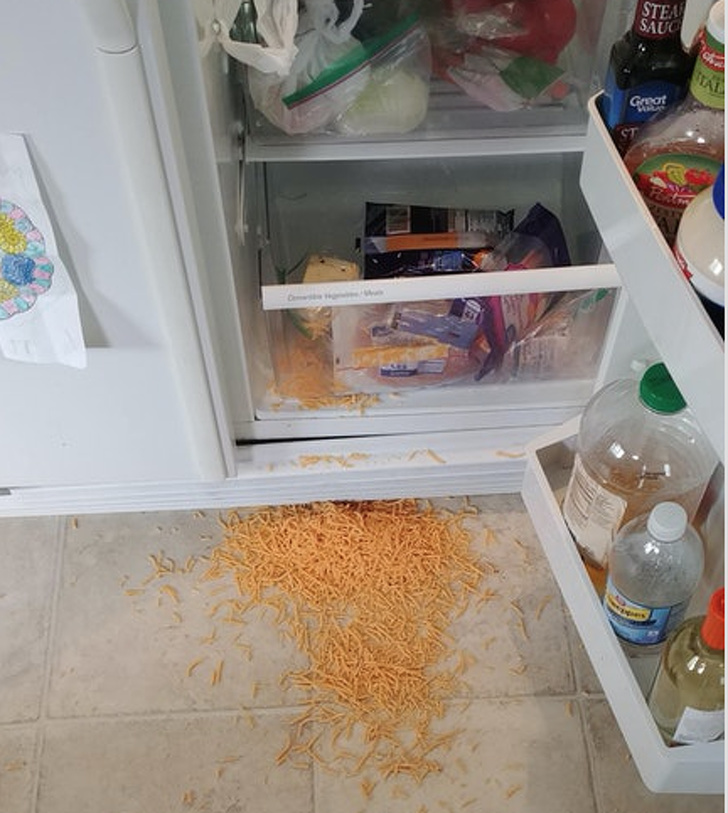 Illustration de l'article : Ces 24 photos de situations qui donnent la nausée