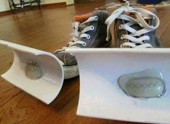 Illustration de l'article : Ces 22 photos qui associent g&eacute;nie et folie