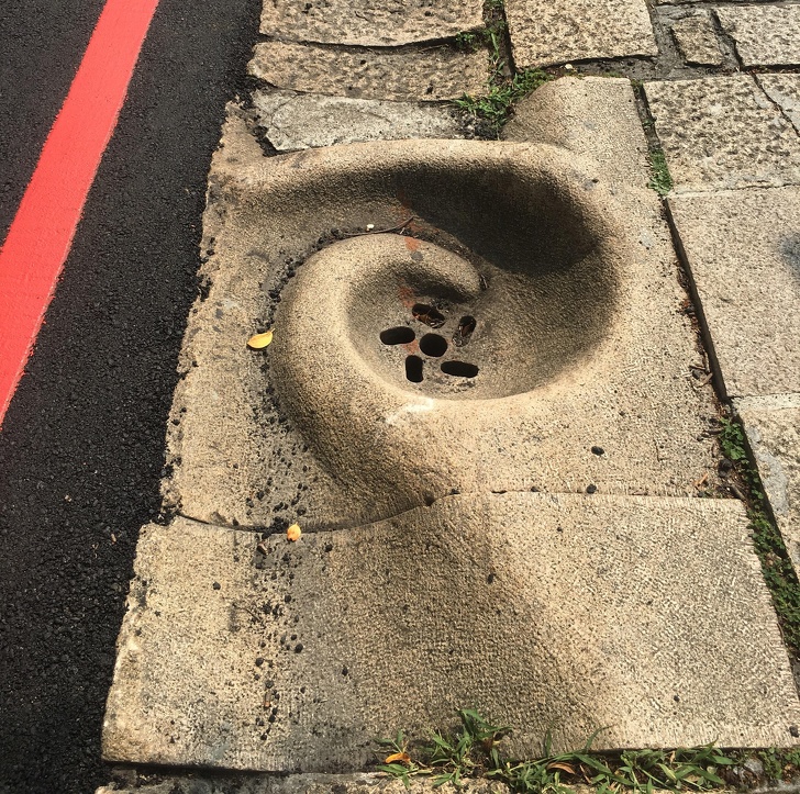 Illustration de l'article : Ces 16 photos qui montrent que notre monde est fascinant