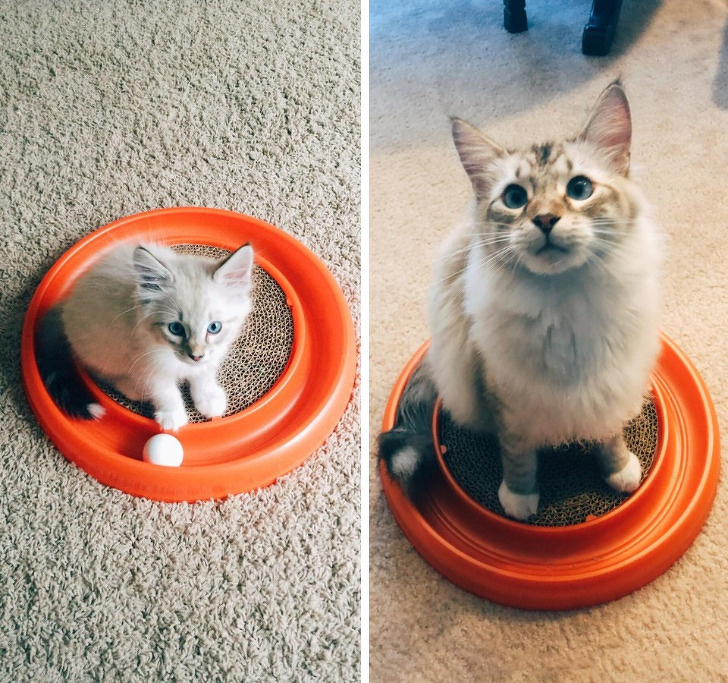 Illustration de l'article : Ces 24 photos o&ugrave; le temps n'a eu que peu d'effet