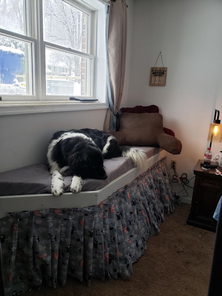 Illustration de l'article : Ces 14 personnes qui sont douées de leurs mains