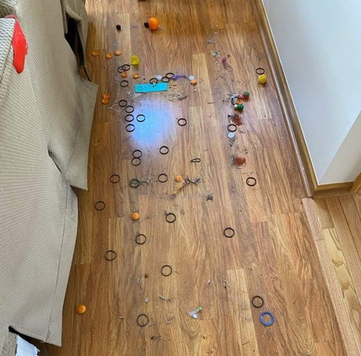 Illustration de l'article : Ces 19 photos de chats qui défient toutes les lois établies