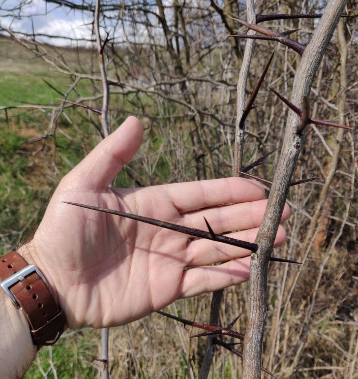 Illustration de l'article : Ces 20 photos illustrant les oeuvres insolites de la nature