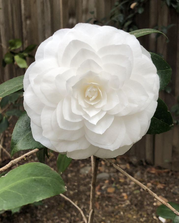 Illustration de l'article : Ces 15 photos qui illustrent bien la perfection