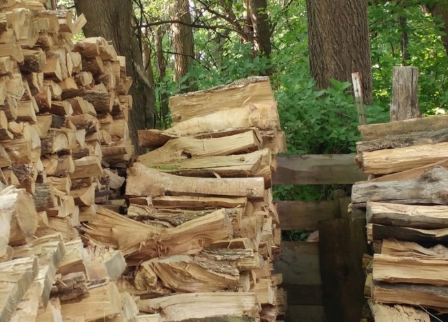 Illustration de l'article : Si vous n'avez pas une vision parfaite, vous ne trouverez pas les animaux cachés sur ces 10 photos !