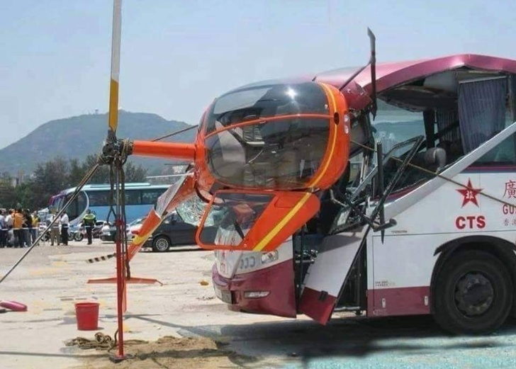 Illustration de l'article : Ces 21 photos qui montrent que l'Homme et la nature sont parfois incompris