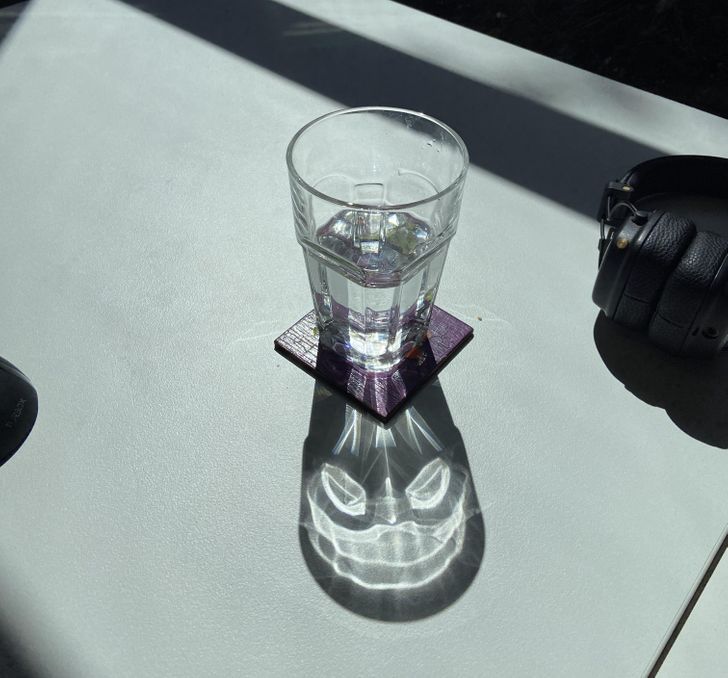 Illustration de l'article : Ces 20 photos qui illustrent les originalités de la nature