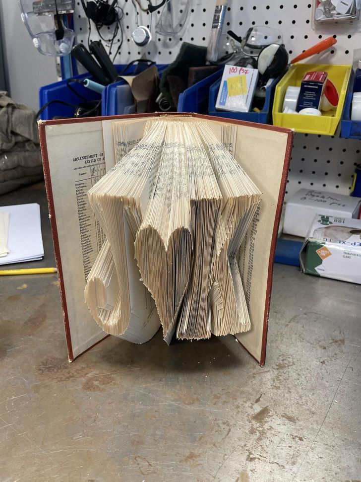 Illustration de l'article : Ces 14 personnes qui sont douées de leurs mains