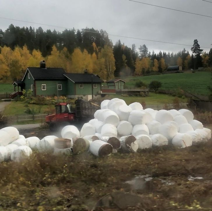 Illustration de l'article : Ces 20 photos qui illustrent les erreurs à ne pas faire au travail