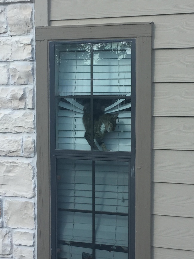 Illustration de l'article : Ces 13 photos qui montrent ce que c'est que d'en avoir marre