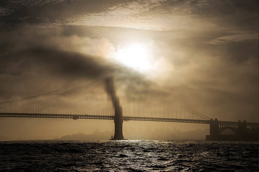 Illustration de l'article : 25 photos qu'il faut regarder 2 fois pour comprendre le sens