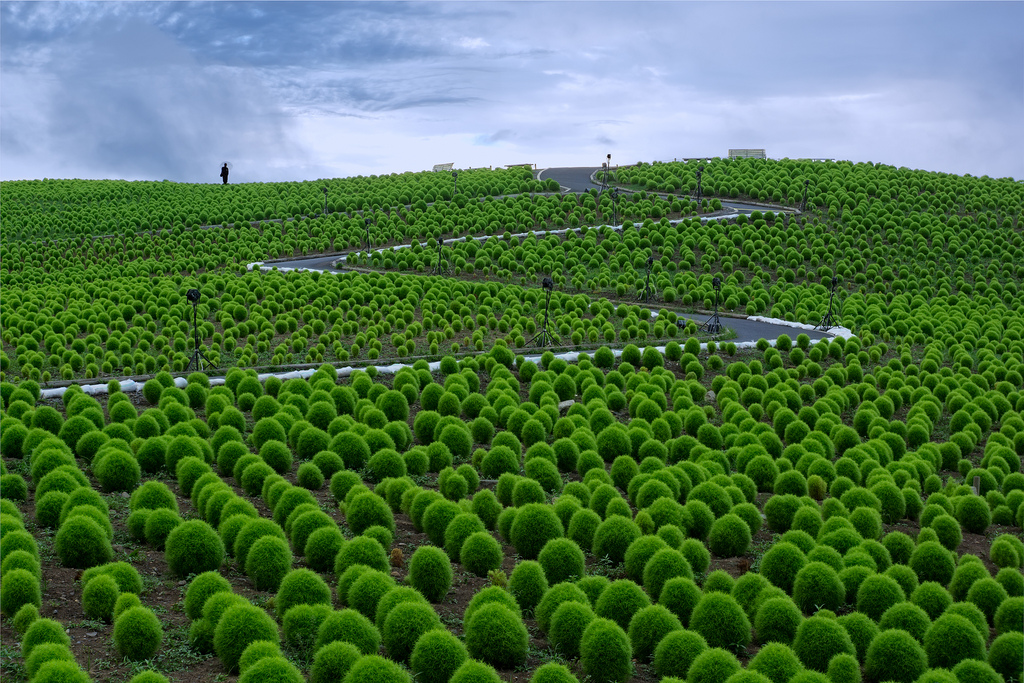 Illustration de l'article : 15 endroits magiques et improbables sur Terre, qui vont vous donner envie de voyager