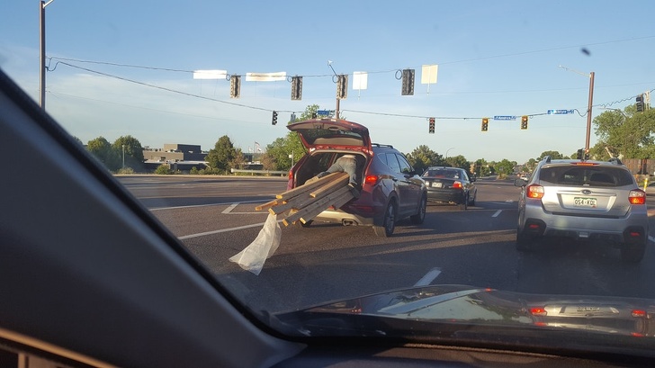 Illustration de l'article : Ces 16 curiosités montrent la folie du monde qui nous entoure