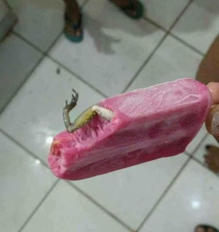 Illustration de l'article : Ces 20 personnes auraient tout donner pour ne pas vivre cette journée